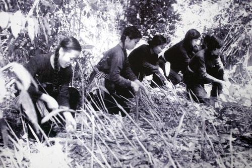 Lịch sử oai hùng Khu ủy miền Đông