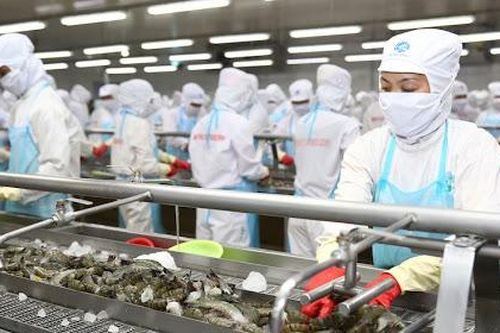 Bộ Công Thương: Mỹ bỏ áp dụng thuế chống bán phá với tôm Minh Phú là quyết định khách quan, công bằng
