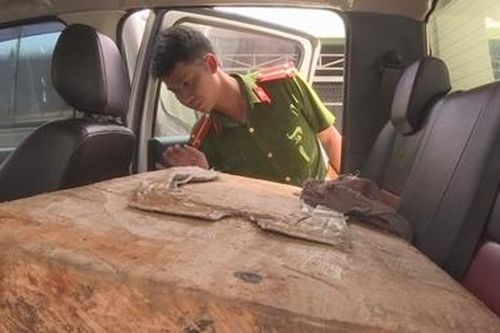 Bắt giữ nhóm lâm tặc chặt phá rừng Pơ mu ngày Tết