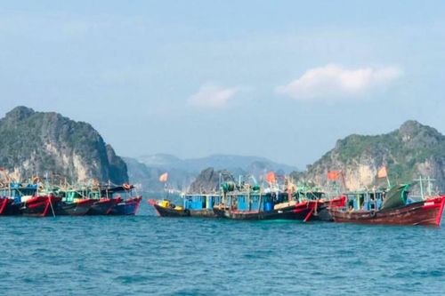 Tai nạn trong khi đánh bắt hải sản trên biển Quảng Ninh