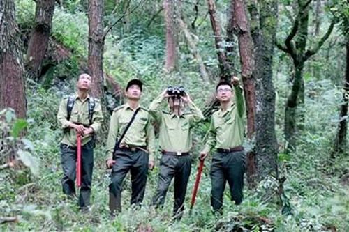 GIỮ RỪNG LÀM DU LỊCH