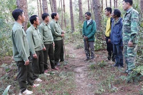 Linh động nhiều biện pháp giữ rừng
