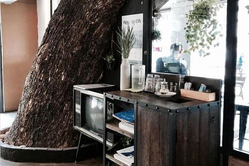 Kỳ lạ 10 ngôi nhà có cây đâm xuyên độc đáo nhất thế giới