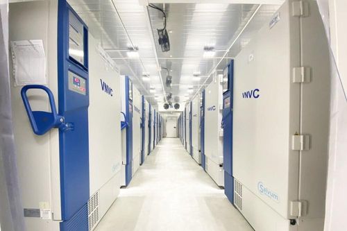 Việt Nam sẵn sàng nhập vắc xin Covid-19 cần bảo quản âm sâu