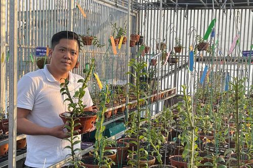 Ông chủ vườn lan Diệp Minh Tuyền: 'Tay ngang' lại thành công sớm