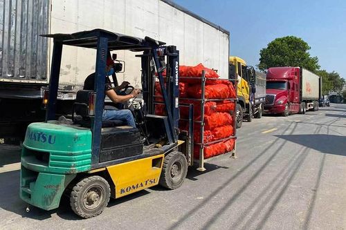 Lo nông sản xuất khẩu ùn ứ, Hải Dương kiến nghị gấp Bộ GTVT
