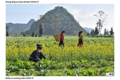 Nét đẹp trong lao động giữa mùa dịch