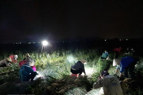 Hải Dương: Những hành động đẹp giữa tâm dịch bệnh COVID-19