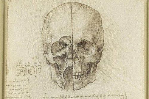 Leonardo Da Vinci từng mua sọ người?