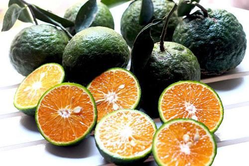 Thực phẩm làm giảm nguy cơ ung thư tuyến tiền liệt