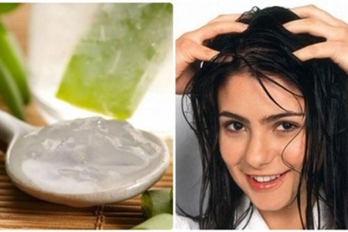 Tường tận công thức phục hồi tóc hư tổn với nha đam