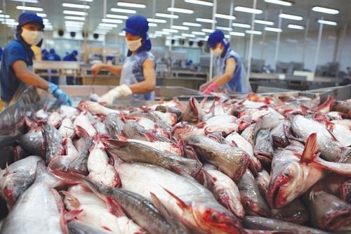Xuất khẩu thủy sản dự kiến đạt 8,8 tỷ USD trong năm 2021