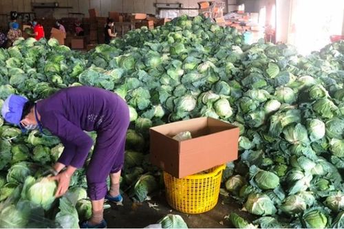 Chuỗi cung ứng nguy cơ bị đứt gãy do khó lưu thông hàng hóa vùng dịch