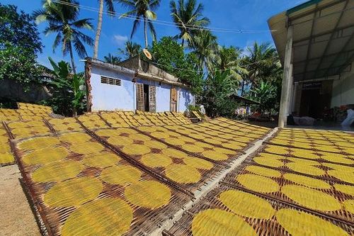 Về xứ dừa Tam Quan thưởng thức món bánh tráng khoai lang