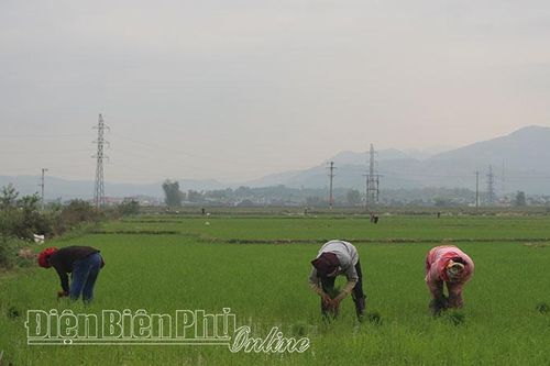 Khẩn trương sản xuất vụ đông xuân