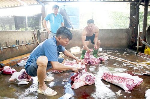 Quản lý chặt chẽ hoạt động giết mổ động vật