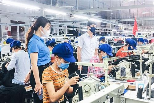 Nâng cao chất lượng đội ngũ cán bộ công đoàn cơ sở