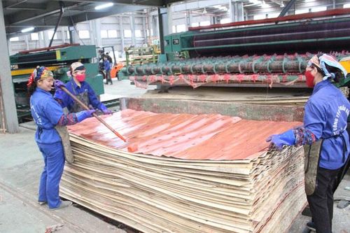 Đầu năm giá trị xuất khẩu đạt gần 1,4 tỷ USD