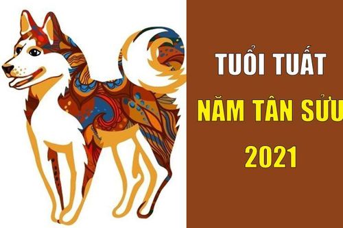 Dự đoán tuổi Tuất năm Tân Sửu 2021: Kiếm nhiều tiền, sự nghiệp khởi sắc