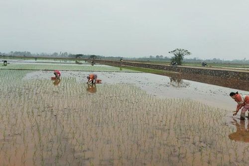 Bão Dujuan suy yếu thành áp thấp nhiệt đới