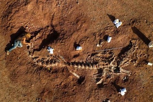 Kho tàng xương khủng long mắc kẹt ở sa mạc Sahara vì dịch Covid-19