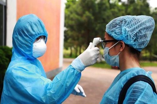 Xử phạt nữ giáo viên ở Hải Phòng khai báo gian dối
