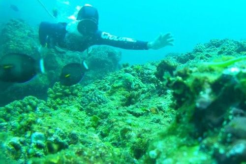 Hai ngư dân bị tai biến khi lặn biển