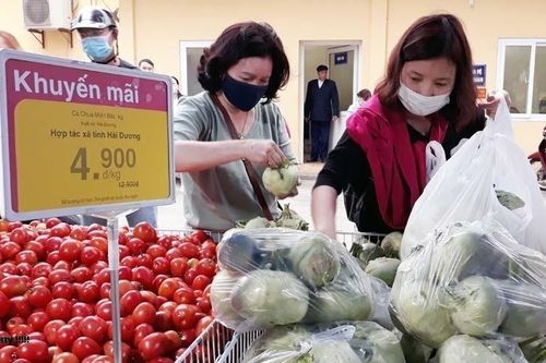 Hệ thống bán lẻ Hà Nội dốc toàn lực hỗ trợ Hải Dương tiêu thụ nông sản