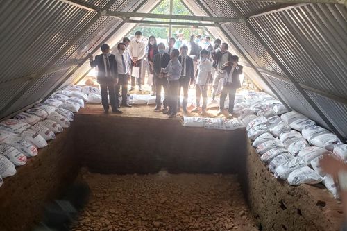 Bảo tồn, phát huy giá trị Di chỉ khảo cổ Chăm Phong Lệ