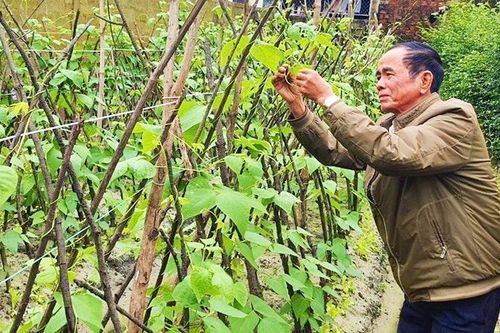 Lan tỏa tinh thần 'đảng viên đi trước'