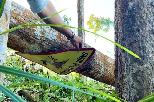Rừng tự nhiên giáp ranh giữa Đắk Lắk và Gia Lai bị tàn phá