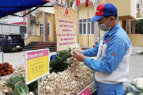 Hà Nội kêu gọi hỗ trợ tiêu thụ nông sản Hải Dương, Quảng Ninh