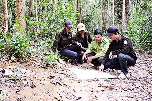 Chuyện những người giữ rừng giữa ngày Xuân