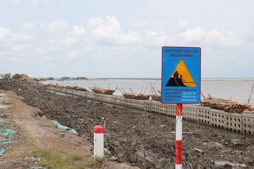 Kiên Giang khẩn cấp xử lý sạt lở đê biển Tây