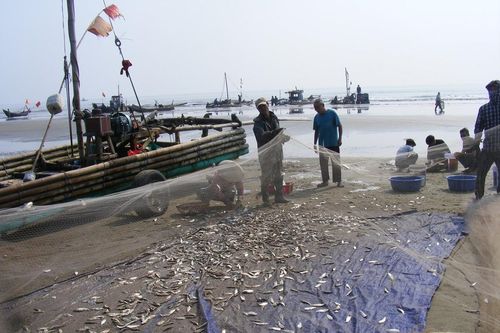 Ngư dân Thanh Hóa 'mở cửa biển', ra khơi đánh bắt đầu năm