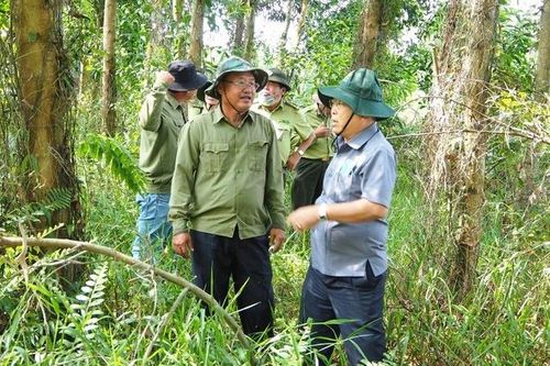 Cà Mau: Kiểm tra công tác phòng cháy, chữa cháy rừng mùa khô
