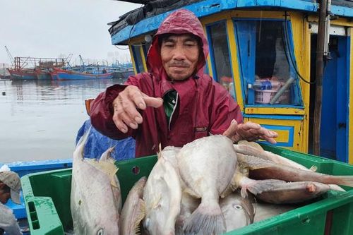 Lộc biển đầu Xuân