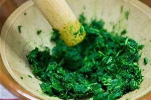 Sẹo bao nhiêu cũng chỉ cần dùng lá ngải cứu là khỏi