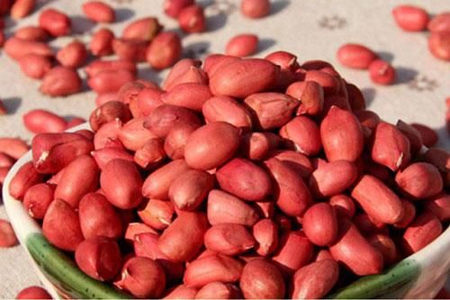 Mỗi ngày ăn vài hạt lạc điều gì sẽ xảy ra với cơ thể?