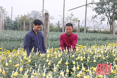 Phường Đông Lĩnh ưu tiên tích tụ đất đai, sản xuất nông nghiệp quy mô lớn