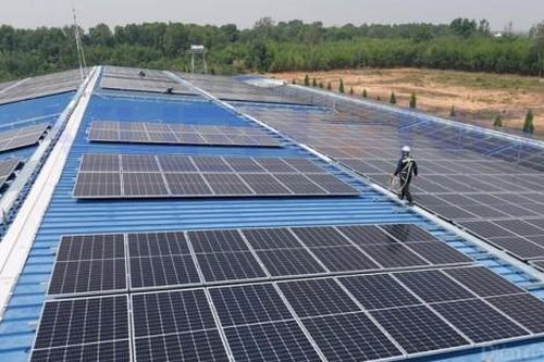Quảng Trị: Chấp thuận chủ trương dự án trang trại kết hợp điện mặt trời áp mái hơn 842 tỷ đồng