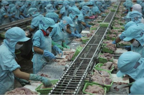 Xuất khẩu nông lâm thủy sản tháng 1: Bức tranh đa dạng sắc màu