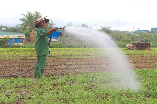 UBND tỉnh Gia Lai chỉ thị đôn đốc nhiệm vụ sau Tết Nguyên đán