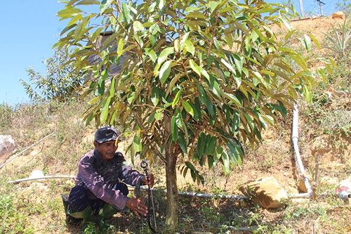 Khánh Sơn: Chủ động ứng phó với khô hạn