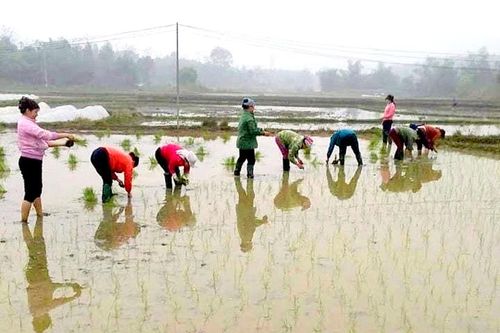 Sẵn sàng đón 'mùa vàng'