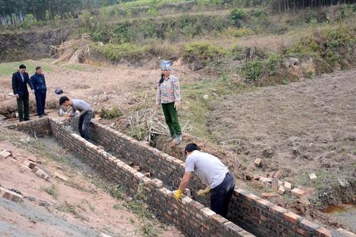 Phát huy vai trò của cơ quan dân cử