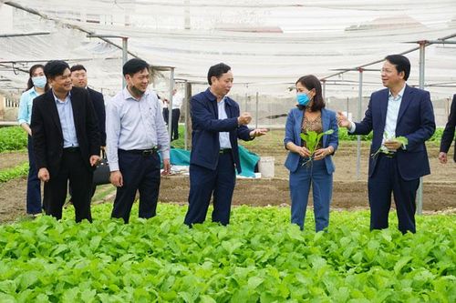 Đẩy mạnh ứng dụng công nghệ cao
