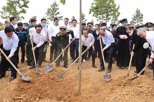 Phải gắn việc trồng và bảo vệ rừng với xây dựng nông thôn mới