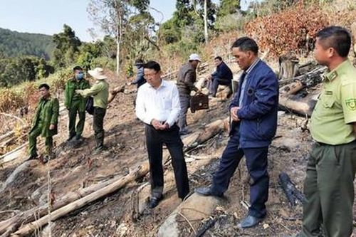Tạm giữ 2 nghi can phá 3.600 m2 rừng phòng hộ ở Đà Lạt