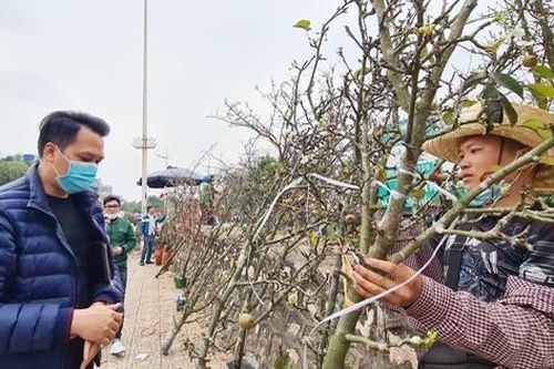 Đào phai, mai tàn, người dân Thủ đô chi tiền triệu chơi lê trắng dịp Rằm tháng Giêng